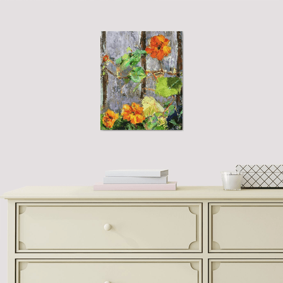 Orange Nasturtiums