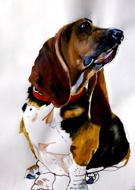 Basset Hound