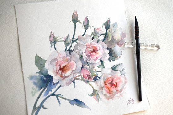 Watercolor roses on white