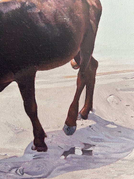 The Cow and The Stone