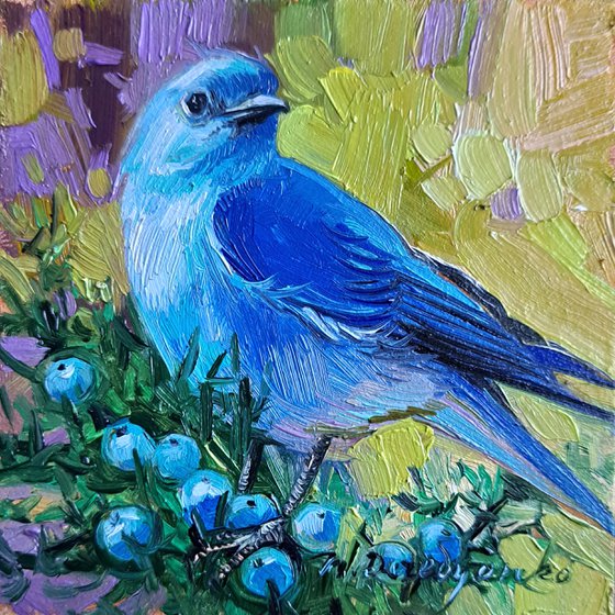 Mountain Bluebird painting original oil art framed 4x4, Blue bird small wall art framed