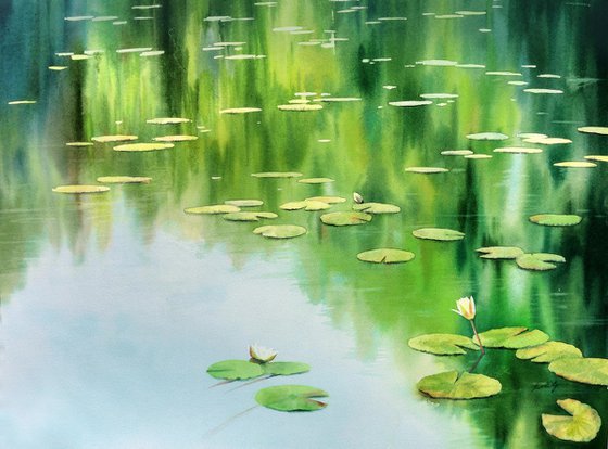 Water Lilies - Lily painting - Water lilies - Landscape art - Water Lily Pond -  waterlily lake - watercolor - watercolour