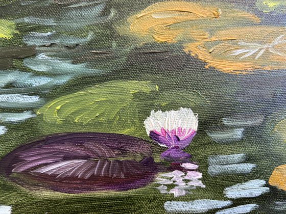 Water Lilies in the Sunlight