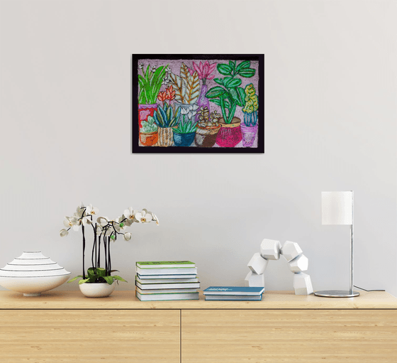 Home Plants in Vase