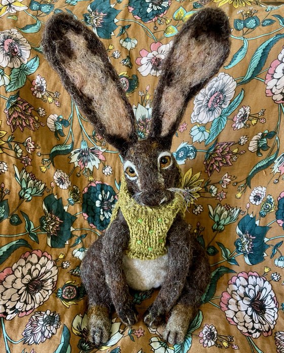 The hare in the green jumper