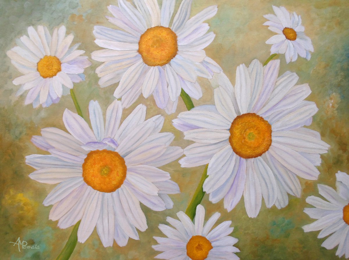 White On Green Daisies by Angeles M. Pomata