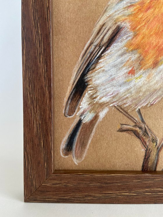 Bird drawing Robin bird mini art framed 11x15 cute mini art