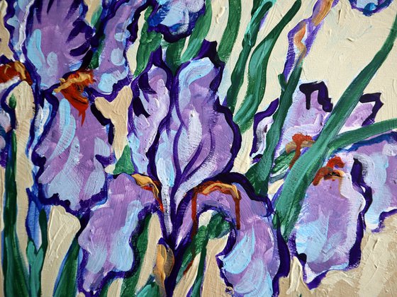 Irises on Cream