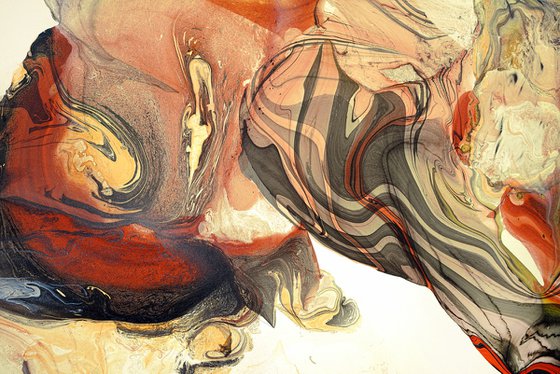 The Five Senses
