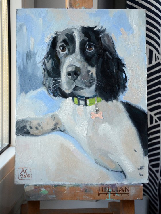 Portrait of an english spaniel