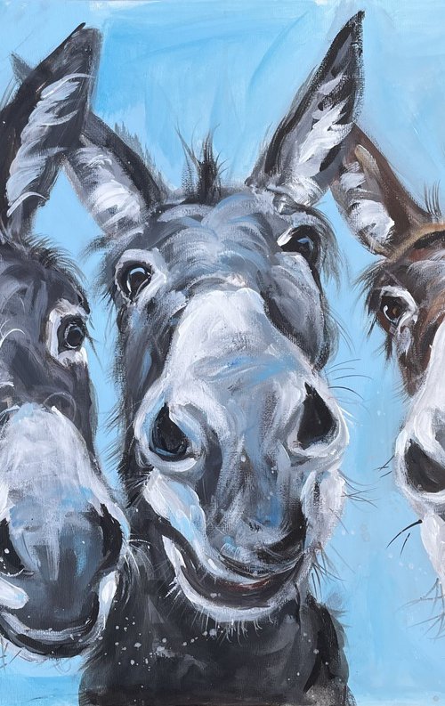 Donkey selfie by Louise Brown