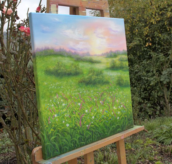 Wildflowers meadow