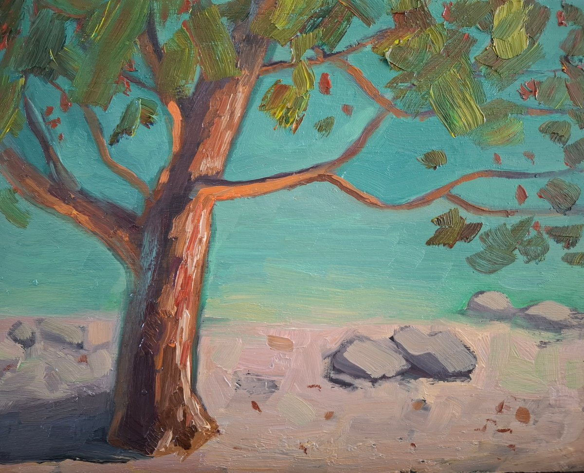 Tree on the beach by Olena Kolotova