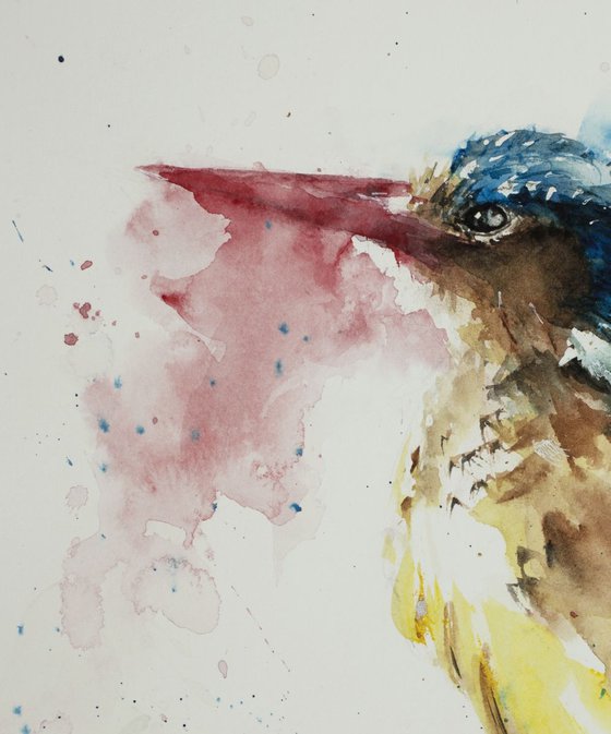 Kingfisher