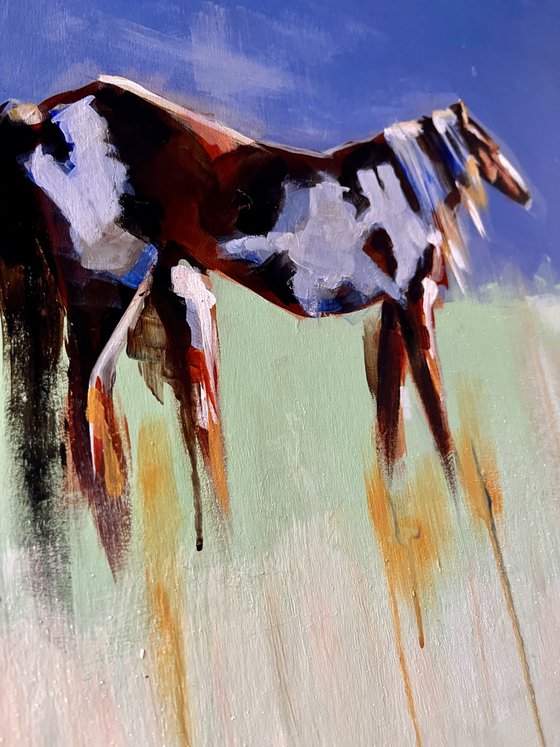 Horse with no Name