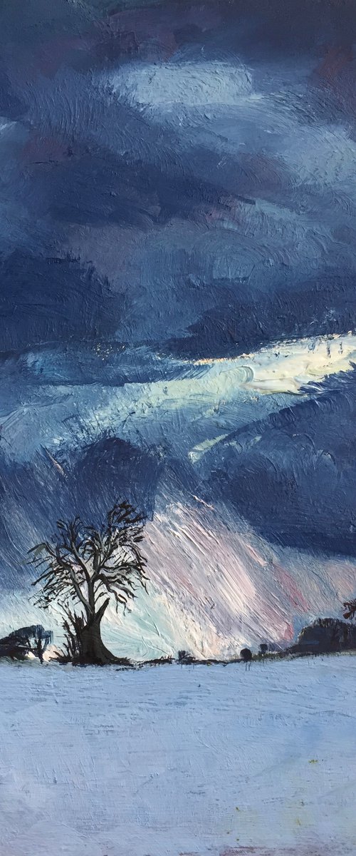 'Single Tree, Winter, Fife' by Stephen Howard Harrison