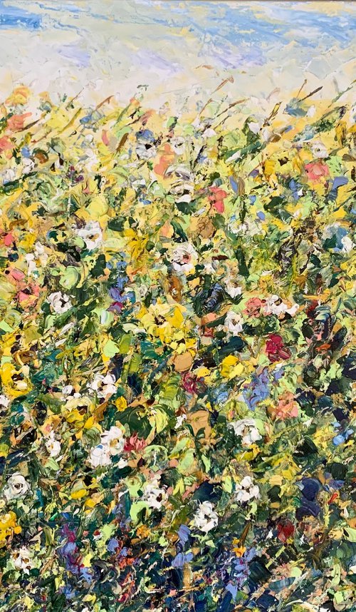 Blooming field in summer by Vilma Gataveckienė
