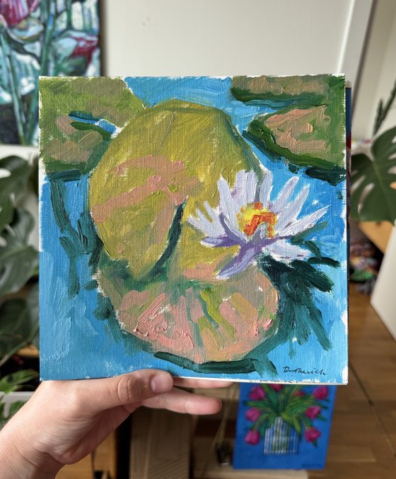Water lily