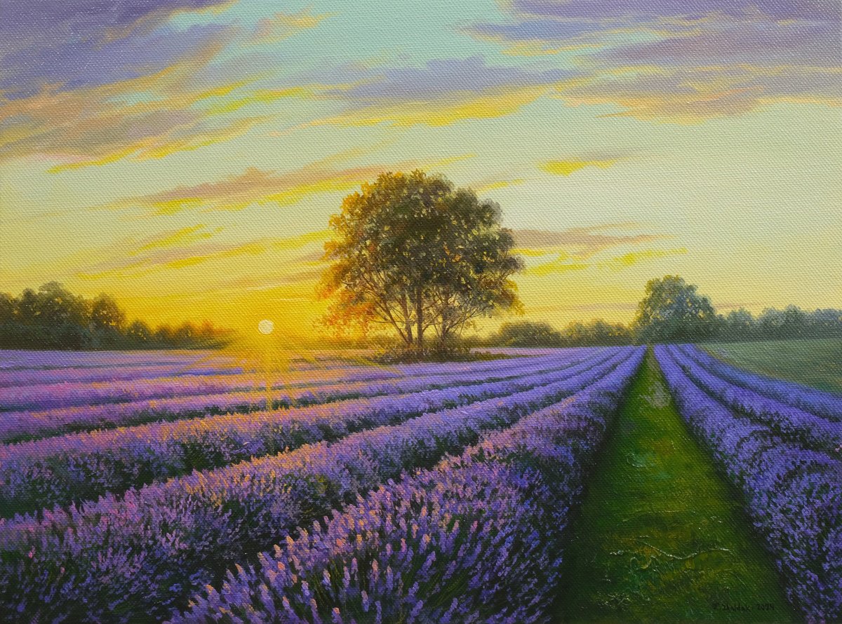 Lavender evening by Eduard Zhaldak