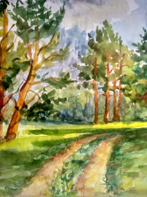 The road in the pine forest