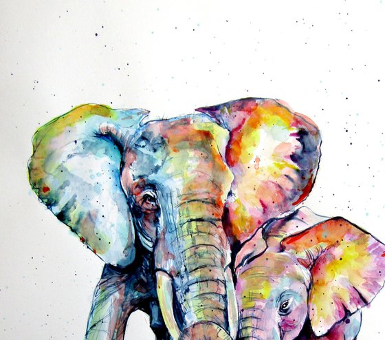 Elephants
