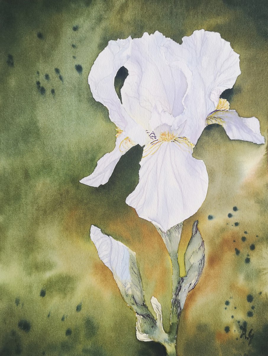 Impressionistic Botanical Watercolour By Aneta Gajos, 9 X 13, The One, Original Artwork