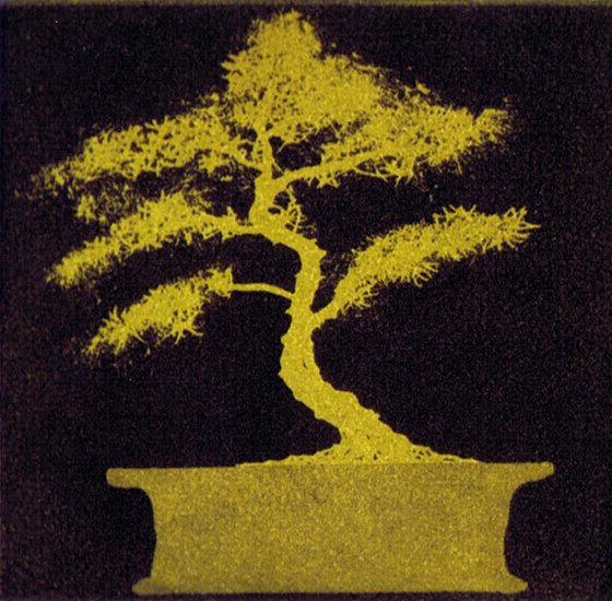 Bonsai