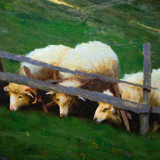 "Sheep"