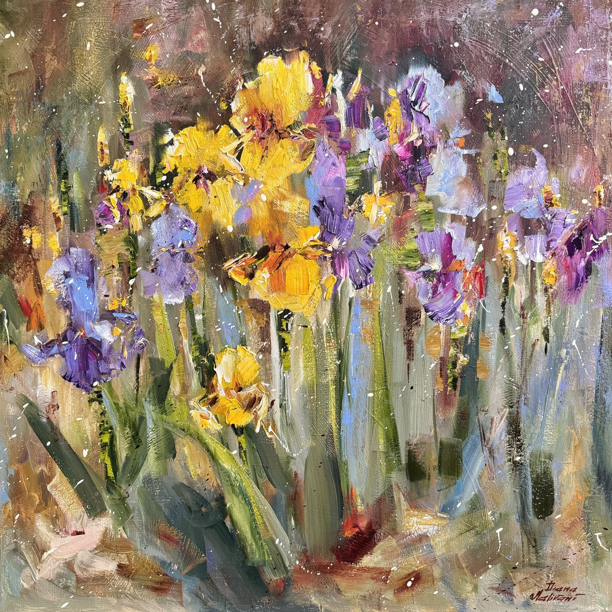 Impressionistic Botanical Oil Painting By Diana Malivani, 24 X 24, Iris, Original Artwork