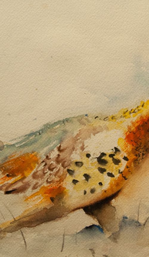 The Pheasant by Tomasz Mikutel