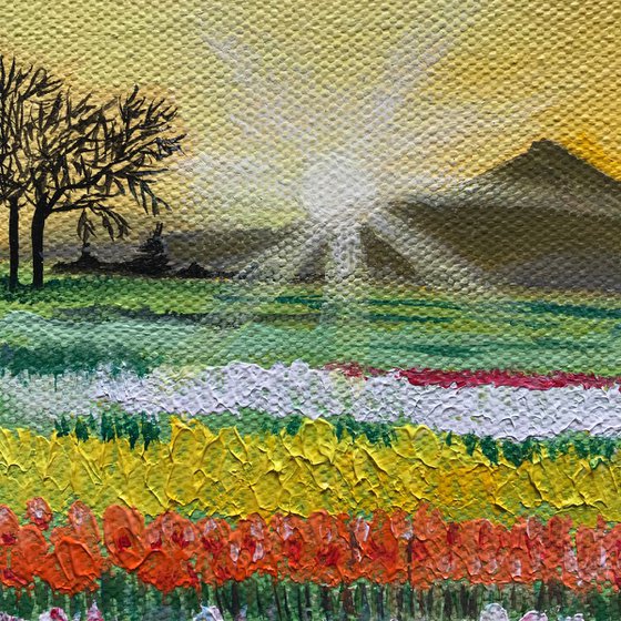 Sunrise at tulip fields ! Small Painting!!  Ready to hang