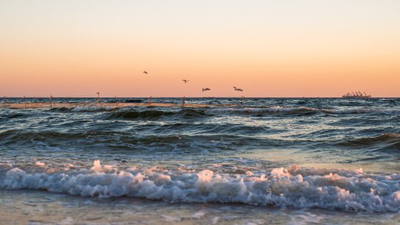 Morning at the sea