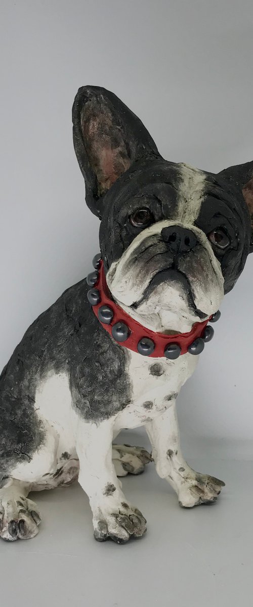 Francois the Frenchie by Louise Brown