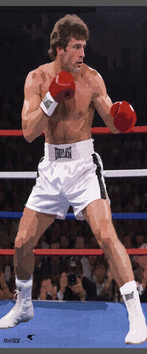 THE BOXER 2 by Joe McHarg