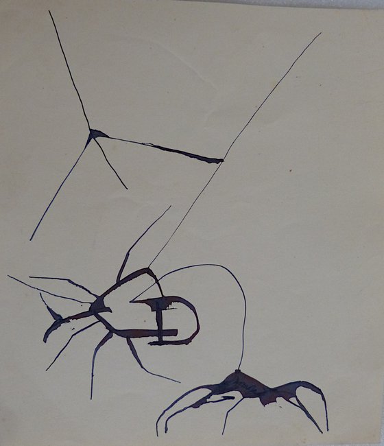 Study of insects, diptych 22x25 cm