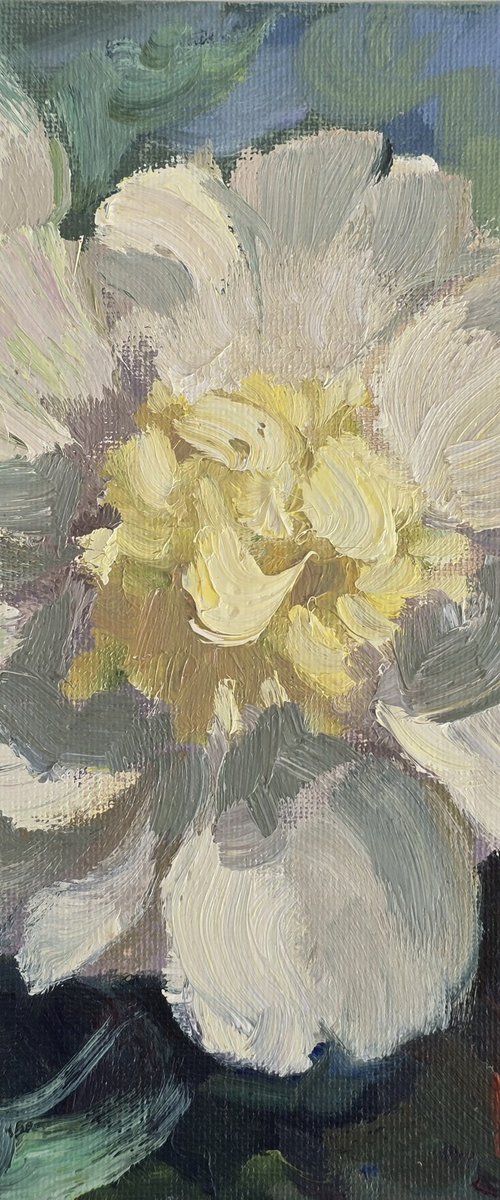 "Peony" by Olena Kolotova