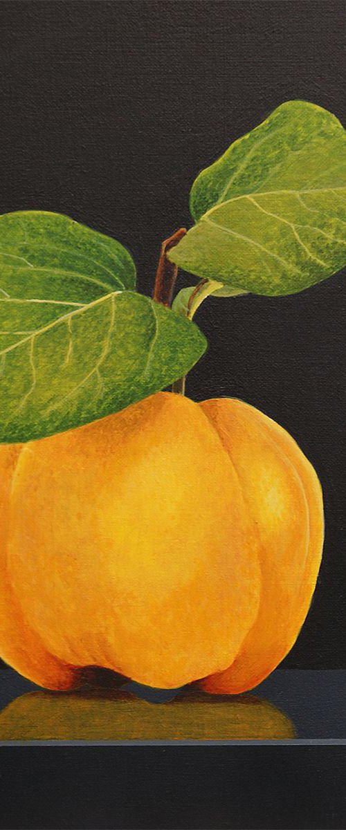 Quince by Dietrich Moravec