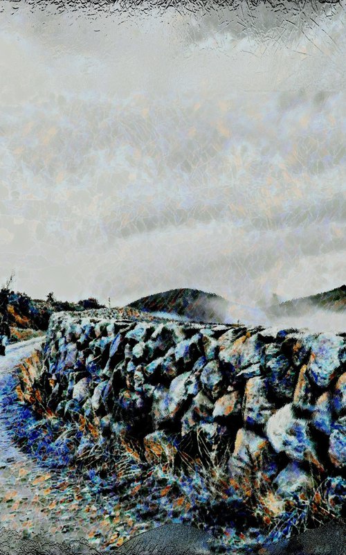 Wet walls at Grizedale, The Lake District by Tony Roberts