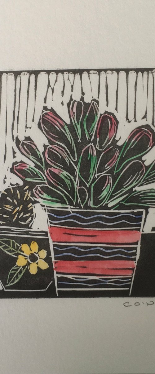 Cactus Pot  (red striped) by Catherine O’Neill