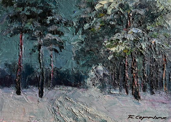 Winter Trail in the Forest