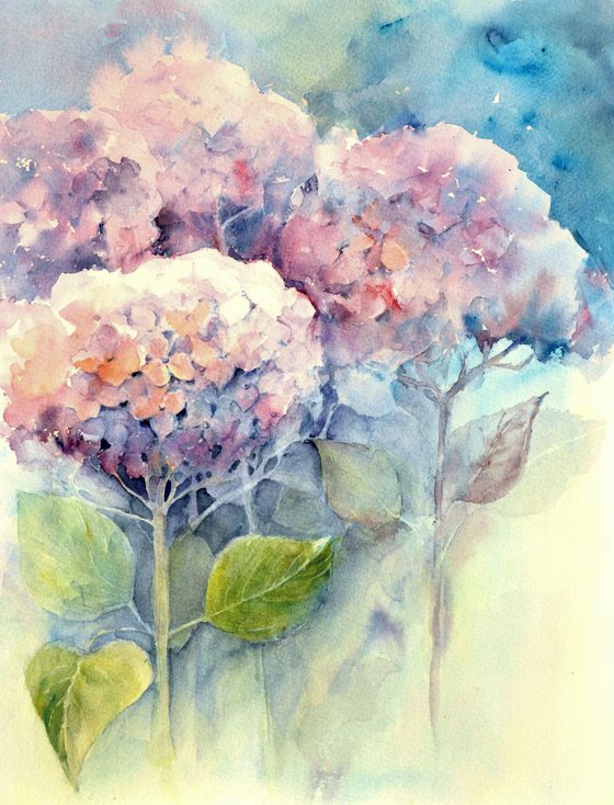 HYDRANGEAS. DREAM GARDEN original watercolor 30X40