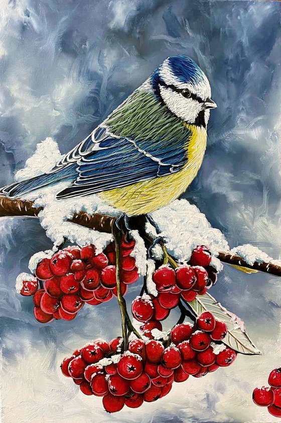 Great Tit on a Rowan