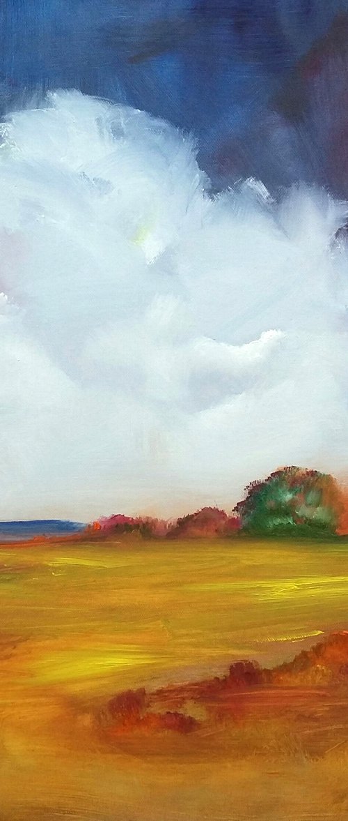 A View of Summer Fields by Kevin Blake