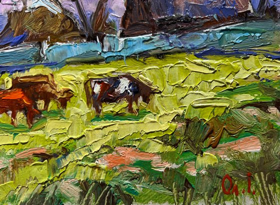 Cows on a green field