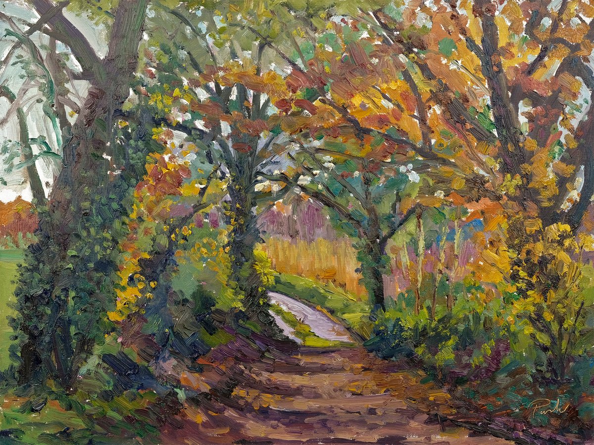 Expressive Landscape Oil Painting By Jeff Parker, 16 X 12, Autumn Canopy, Original Artwork