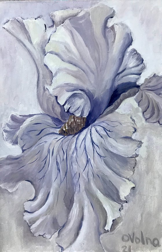 Set of 2 Flower oil artworks, Iris flower oi, Tropical flower,  floral Wall art,  Floral art oil painting gift for siste