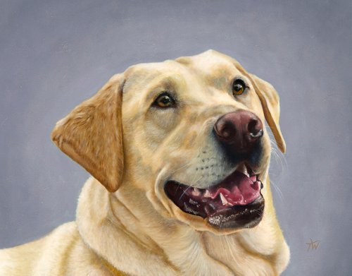 "Sandy" the Labrador by Tracey Walker