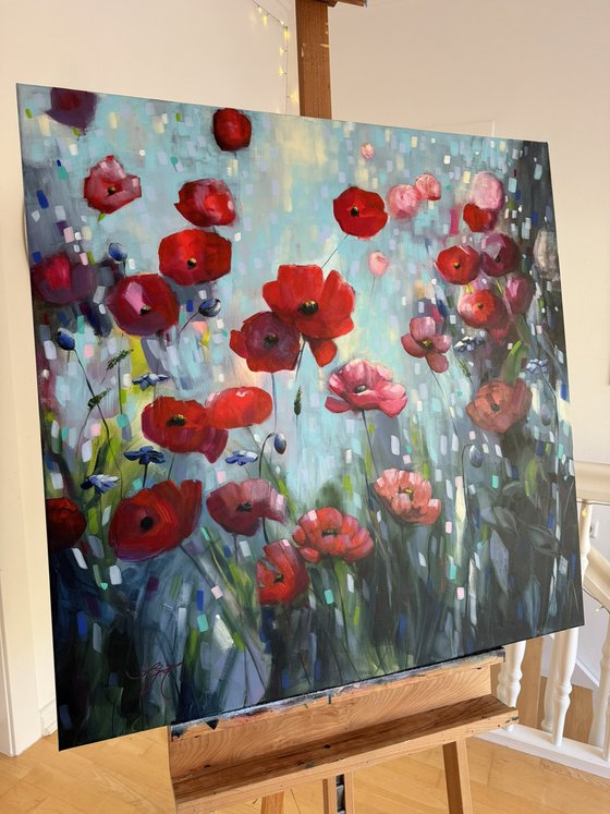 Poppies Land 12