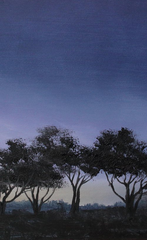 Purple sunset tree silhouette African landscape at dusk by Pip Walters