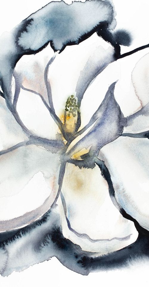 Magnolia No. 29 by Elizabeth Becker